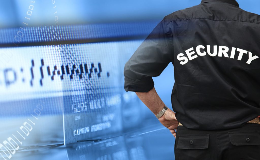 professional security guards for events and businesses