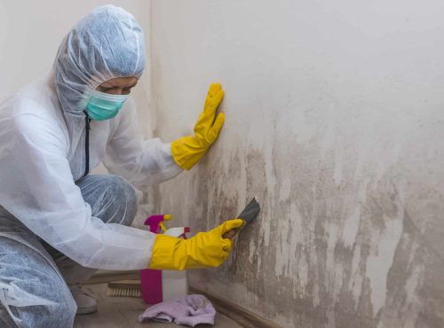 Emergency Mold Removal Services in El Paso, TX | 24/7 Remediation