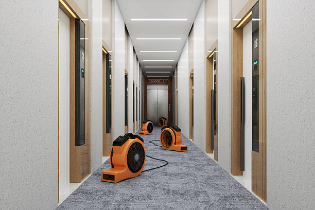 Water Damage Restoration Services in Henderson, NV