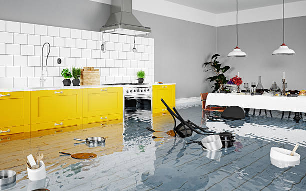 Emergency Water Damage Restoration in Bellaire, TX