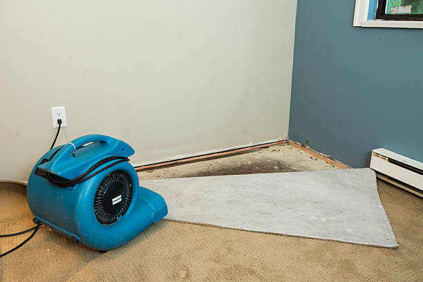 Water Damage Restoration Services in Brookshire, TX