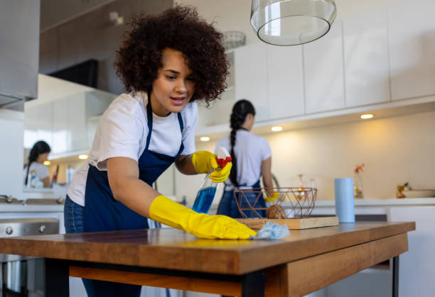 Furniture Cleaning Services in Tomball TX