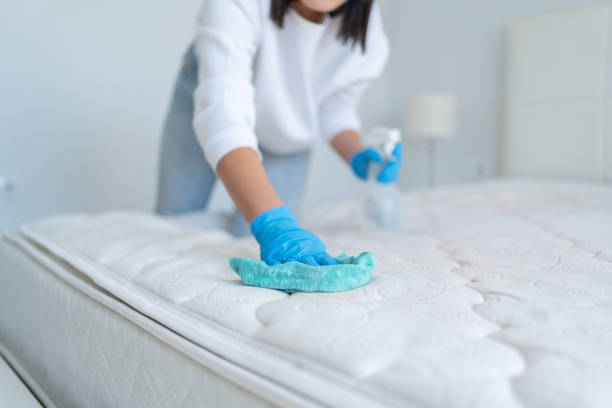 Trusted Upholstery Cleaning Near Me in Cypress TX
