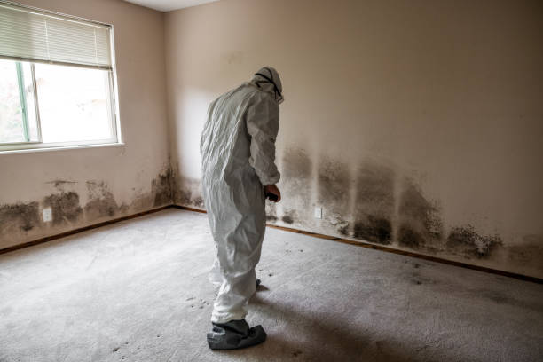 Water Damage Cleanup Experts in Robesonia PA