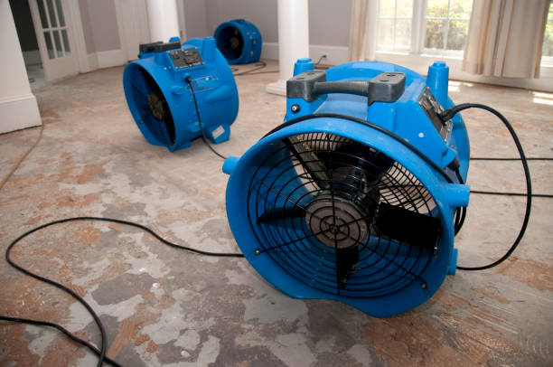 Water Damage Restoration Services in Aldine TX